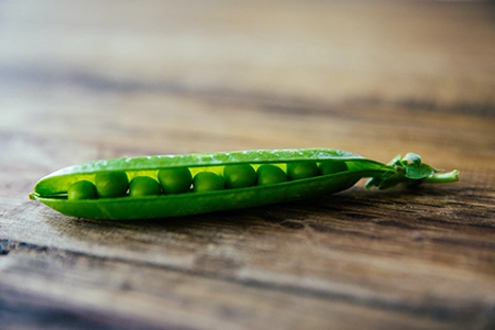 what to plant in january: plant some garden peas