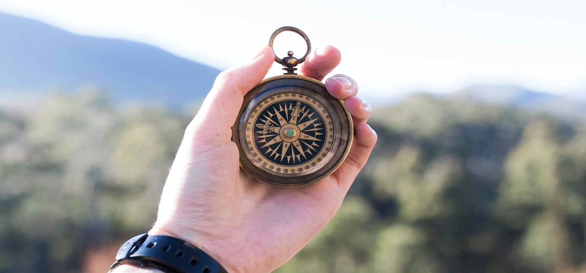 Nature's compass: east facing garden