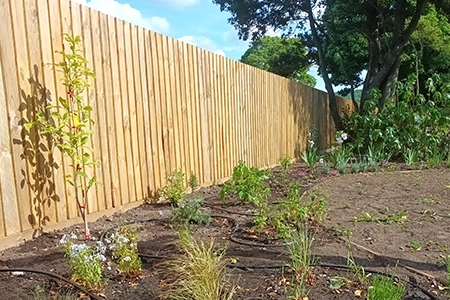 wooden fencing near me