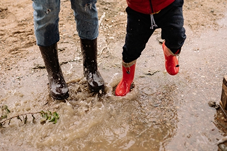 garden drainage solutions