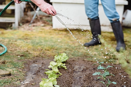 garden drainage solutions