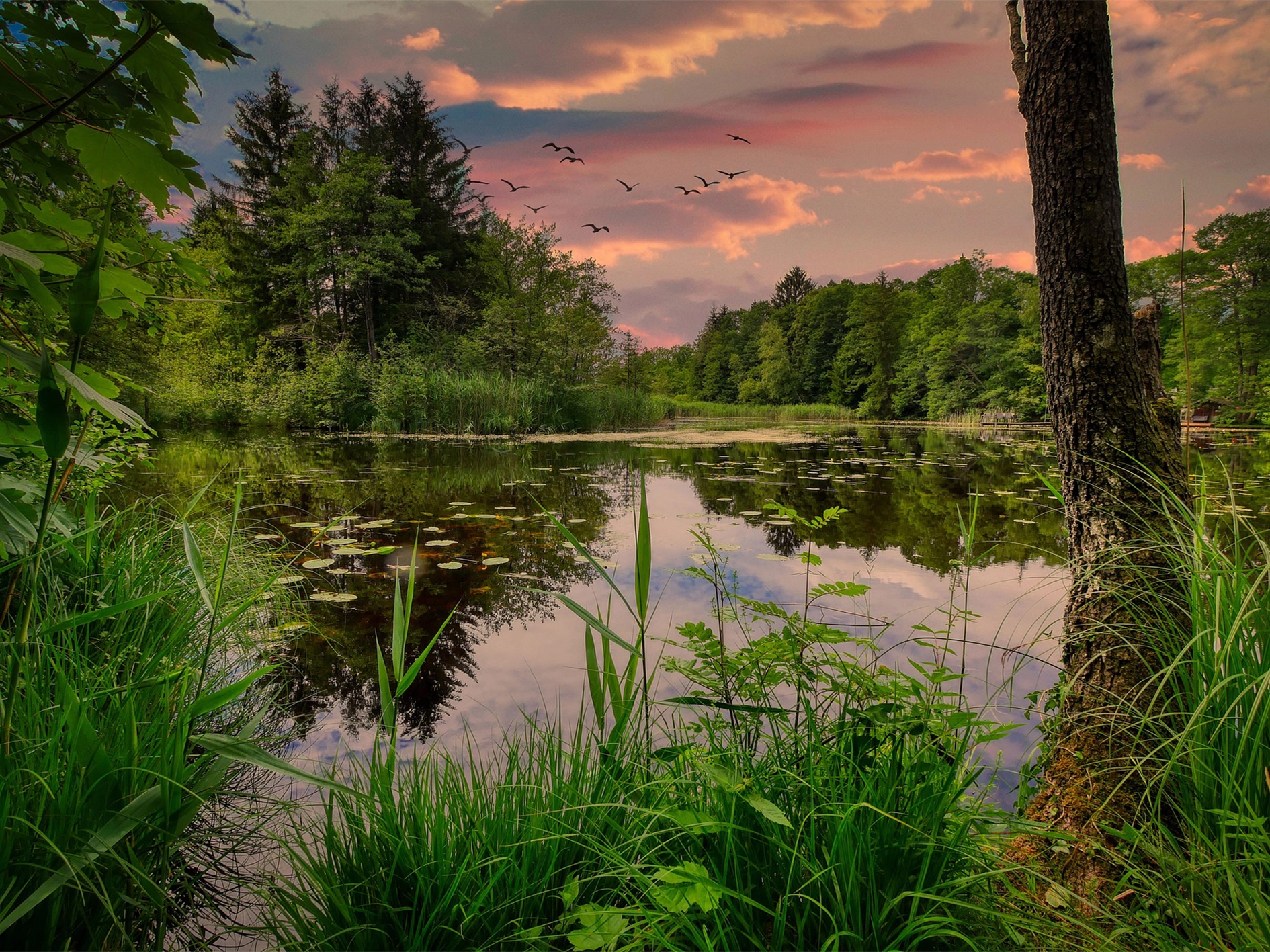 how to build a natural pond