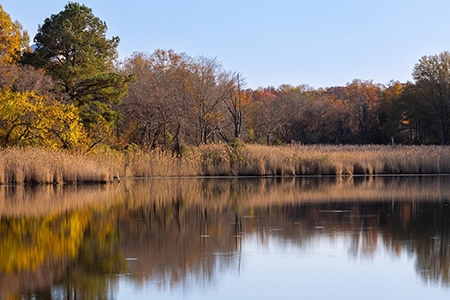 large natural pond