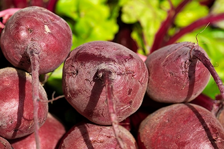 planting beetroot in summer