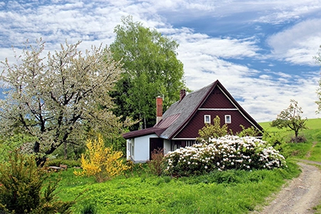 House sheltered by wind-breaking shrubs