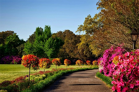 formal garden design