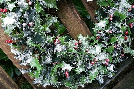 Festive wreaths