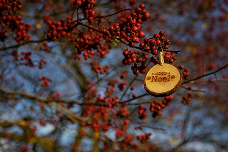 Christmas garden decorations