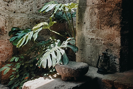 courtyard garden corner