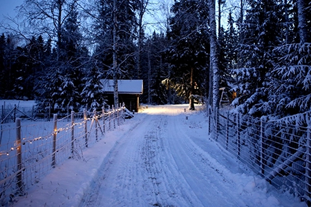 Winter garden and snowy pathway