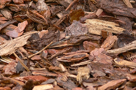 Bark mulch