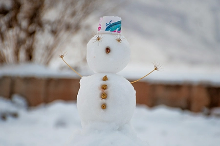 Snowman