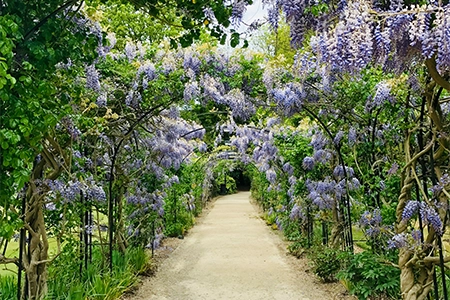 Low maintenance landscaping