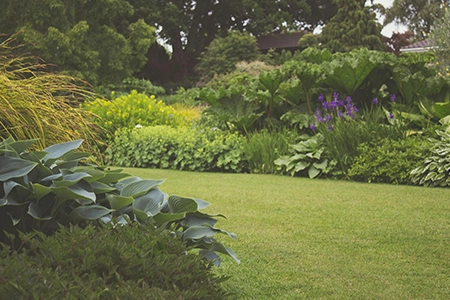 Reduce energy costs with planting
