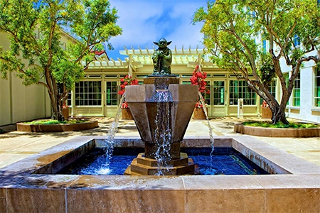 Back garden water feature