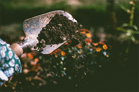 Eco-friendly landscaping