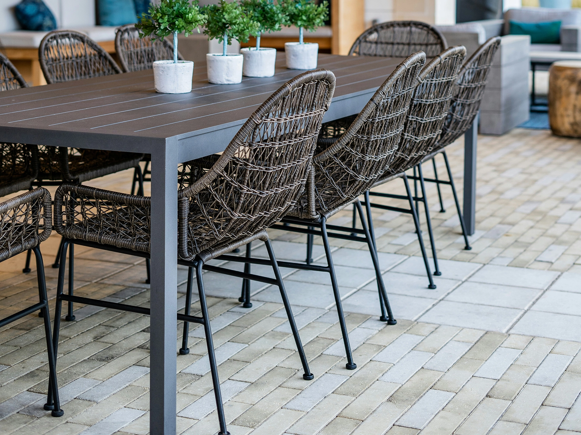 Top Lawn Alternatives
