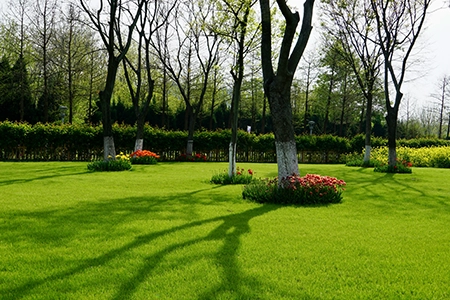 A lawn area with trees and flowers