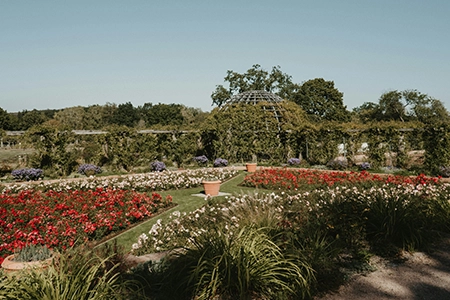 Plant beds are the main feature in this garden