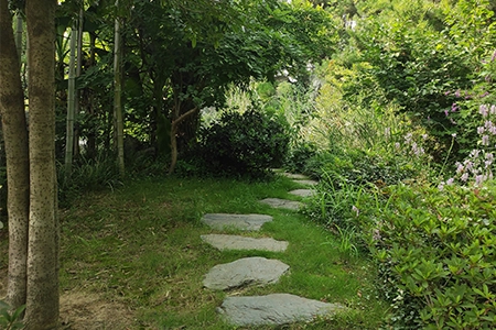 A meandering stepping stone path