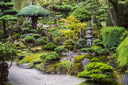 A Japanese garden