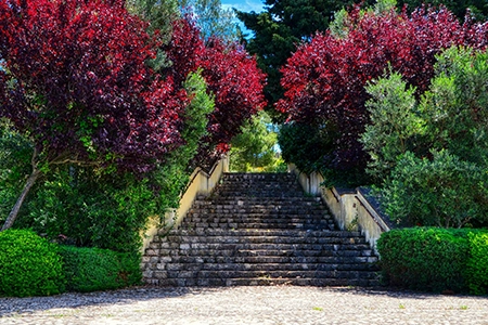 Path and staircase between garden rooms