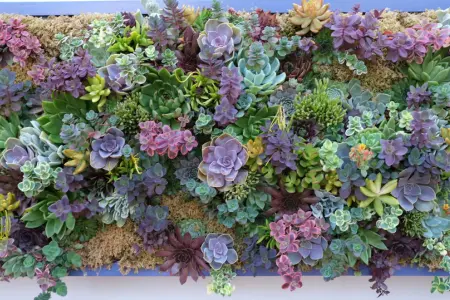 Planted wall noise barrier