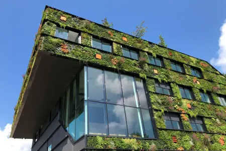 Living green wall