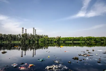 Water Pollutants