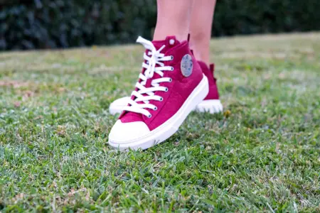 Durable mixed turf lawn