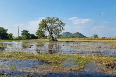 Waterlogged grass field with no drainage