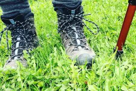 Durable well-kept lawn