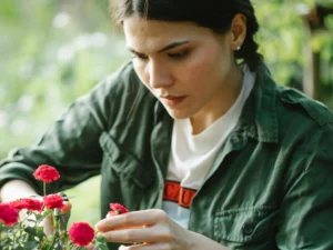 What Should I Be Doing in my Garden in February?