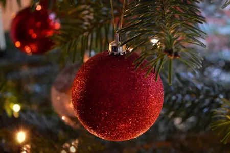 Plant your Christmas tree outside