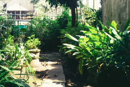 Overlooked shady urban city garden design