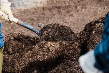 Soil structure and composition