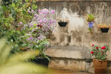 Urban city walled garden design