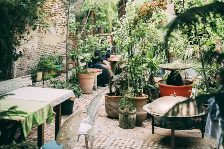 Positives of urban city garden design