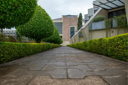 Hedge barriers