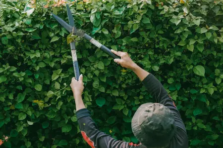 Landscaper with hayfever