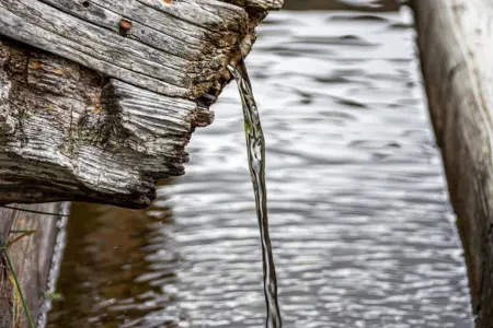 Collect and reuse rainwater