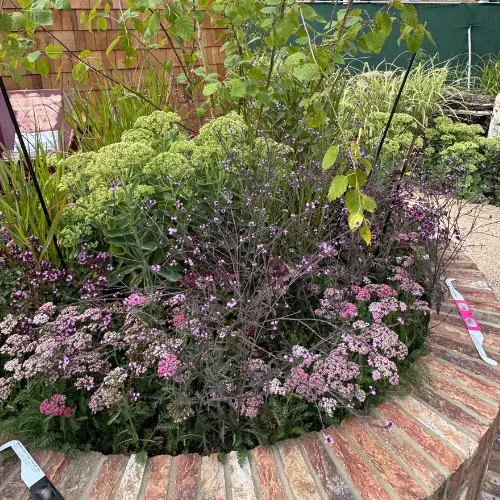 Sandringham flower show 2026 judging and gardens