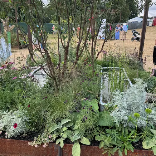 Galvanised troughs with surrounding plants