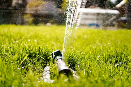 Hosepipe ban exceptions in Norfolk