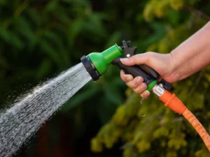 Norfolk hosepipe ban 2026
