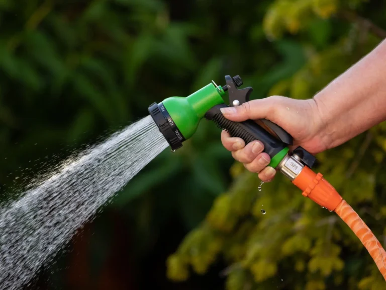 Norfolk hosepipe ban 2026
