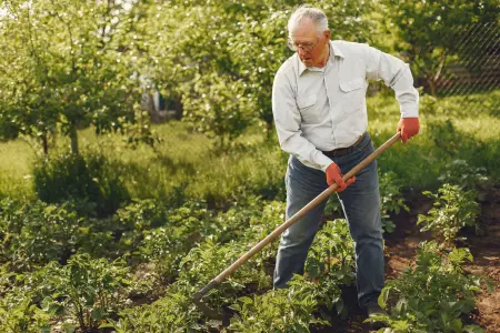 Best hard ground tools for weeding in the garden uk