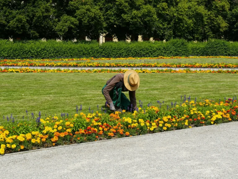 Weeding in the garden